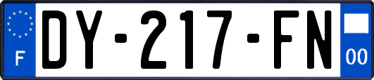 DY-217-FN