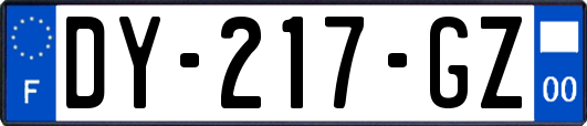 DY-217-GZ