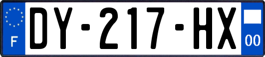 DY-217-HX