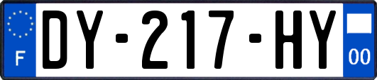 DY-217-HY