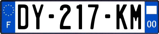 DY-217-KM