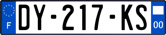 DY-217-KS