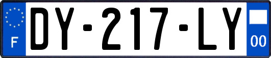 DY-217-LY