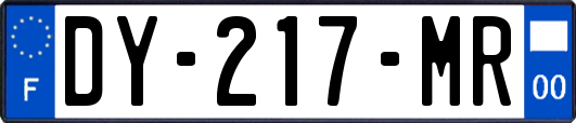 DY-217-MR