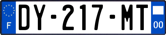 DY-217-MT