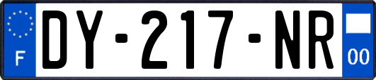 DY-217-NR