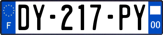 DY-217-PY