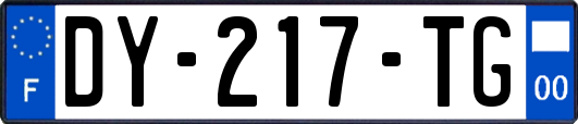 DY-217-TG