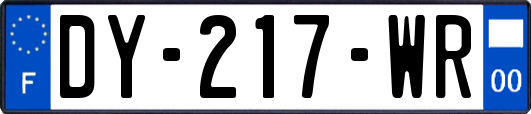 DY-217-WR