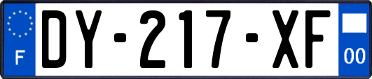 DY-217-XF