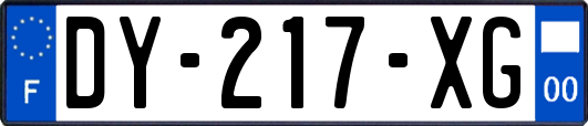 DY-217-XG