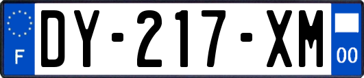 DY-217-XM