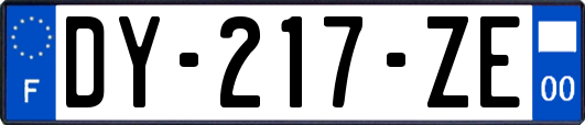 DY-217-ZE