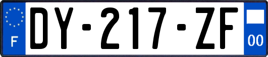 DY-217-ZF