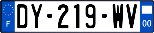 DY-219-WV