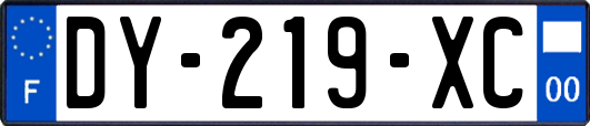 DY-219-XC