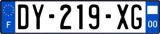 DY-219-XG