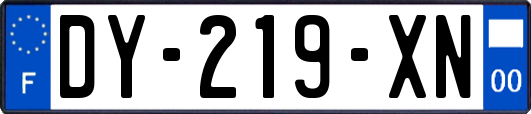 DY-219-XN