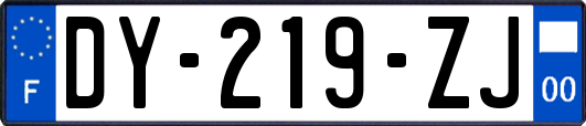 DY-219-ZJ