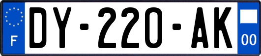 DY-220-AK