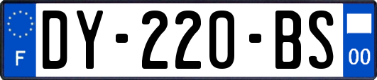 DY-220-BS