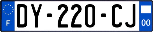 DY-220-CJ