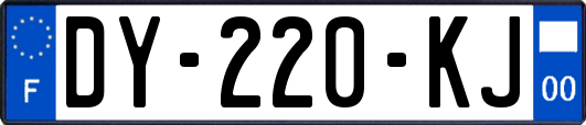 DY-220-KJ