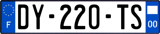 DY-220-TS