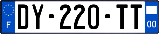 DY-220-TT