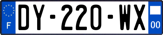 DY-220-WX