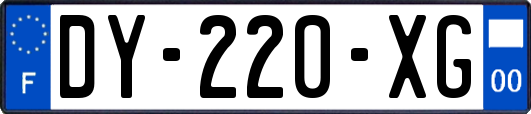 DY-220-XG