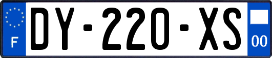 DY-220-XS