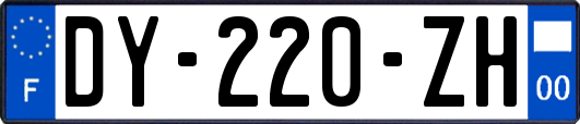 DY-220-ZH