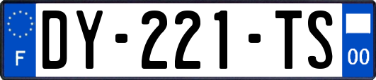 DY-221-TS