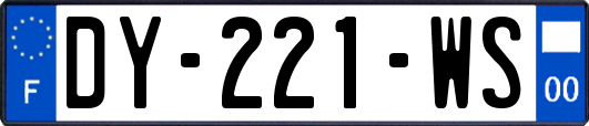 DY-221-WS