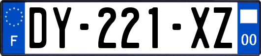 DY-221-XZ