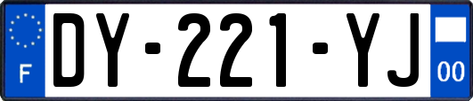 DY-221-YJ