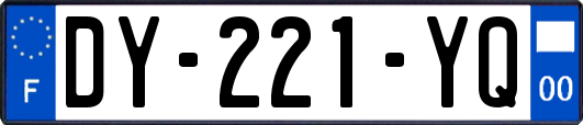DY-221-YQ