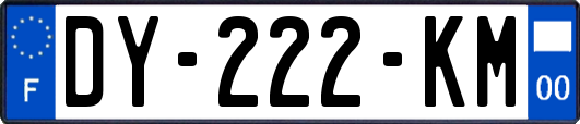 DY-222-KM