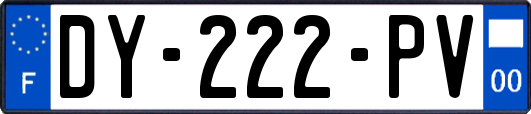 DY-222-PV