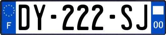 DY-222-SJ