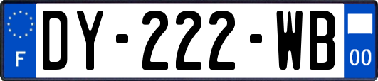 DY-222-WB