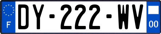 DY-222-WV