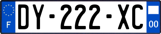 DY-222-XC