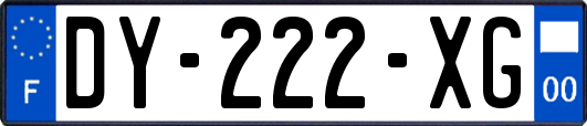 DY-222-XG