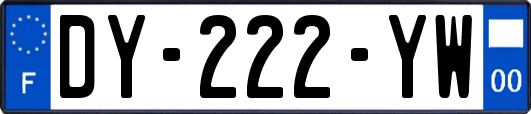 DY-222-YW