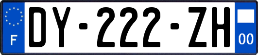 DY-222-ZH