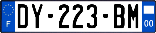 DY-223-BM
