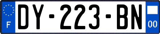 DY-223-BN