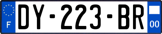 DY-223-BR